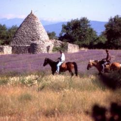 CHAMBRES D'HÔTES  PROVENCE