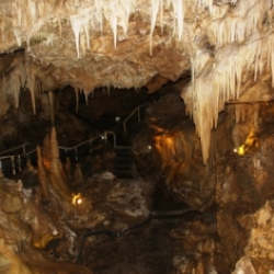 Speleologie